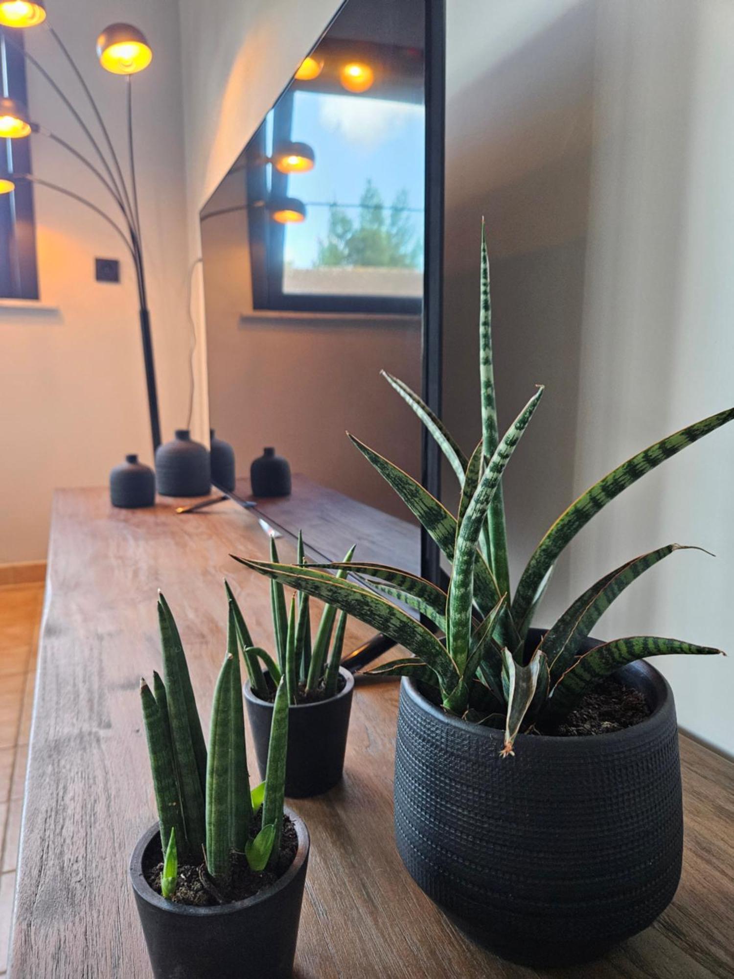 Vakantiewoning Maison Mathiz ミデルケルケ エクステリア 写真